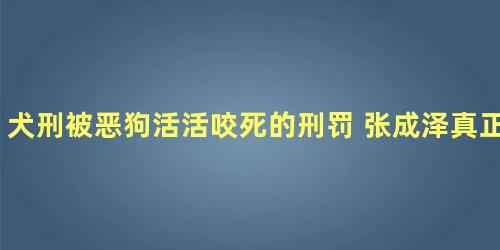 犬刑被恶狗活活咬死的刑罚 张成泽真正的死因是它吗